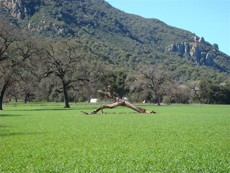 Thousand Oaks Ranch All Pictures Media Film Locations