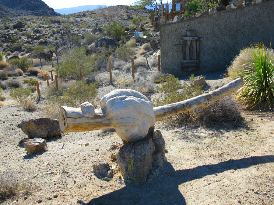 Joshua Tree Location All Pictures Media Film Locations