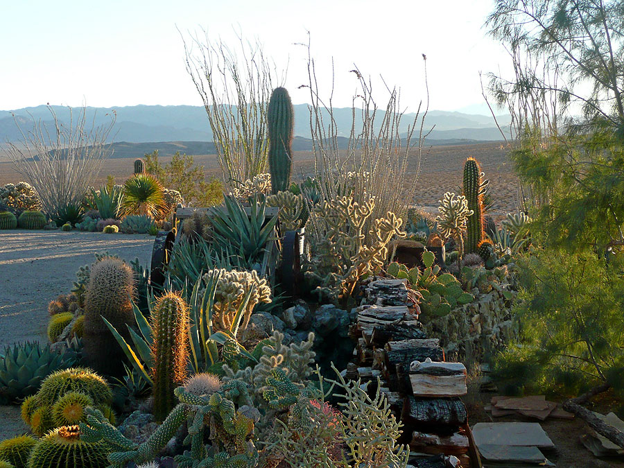 Joshua Tree Location All Pictures Media Film Locations