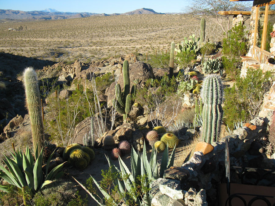 Joshua Tree Location All Pictures Media Film Locations