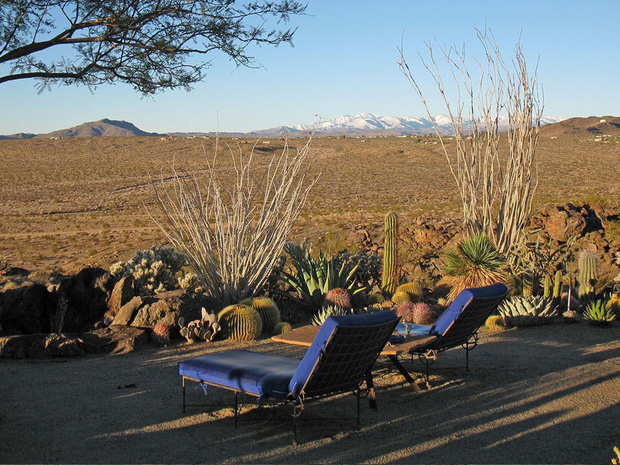 Joshua Tree Location All Pictures Media Film Locations