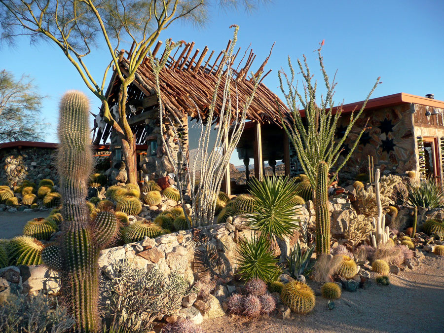 Joshua Tree Location All Pictures Media Film Locations