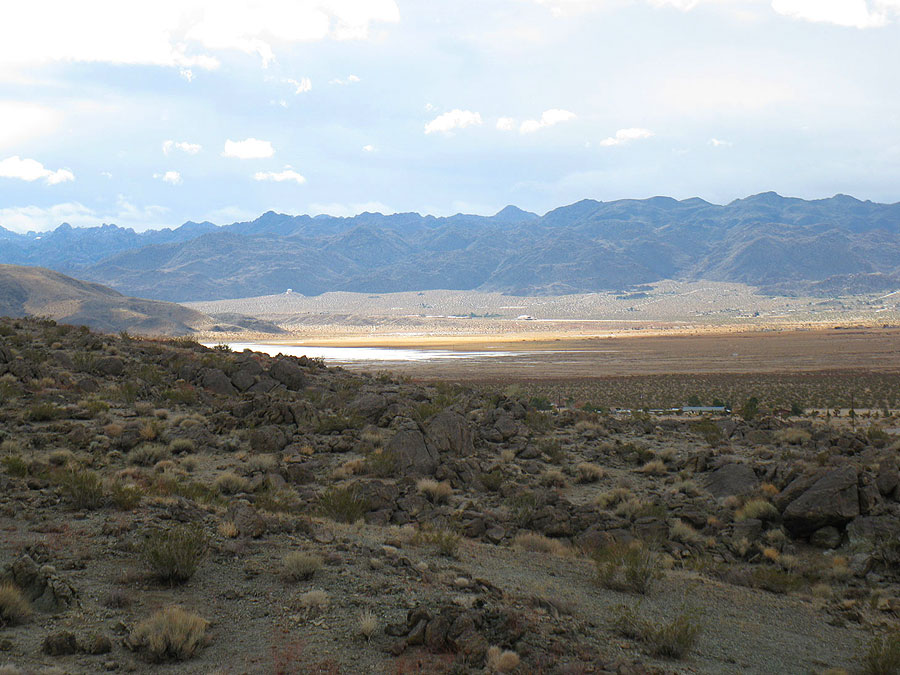 Joshua Tree Location All Pictures Media Film Locations