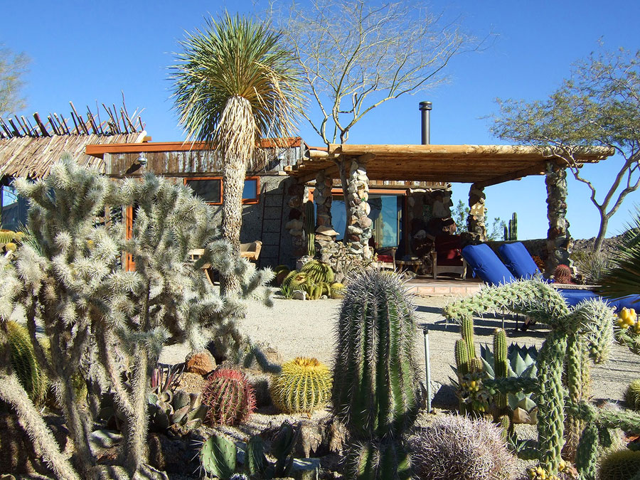 Joshua Tree Location All Pictures Media Film Locations