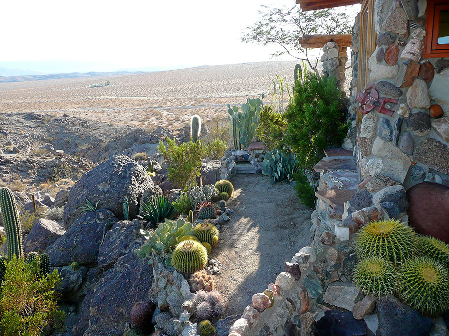 Joshua Tree Location All Pictures Media Film Locations