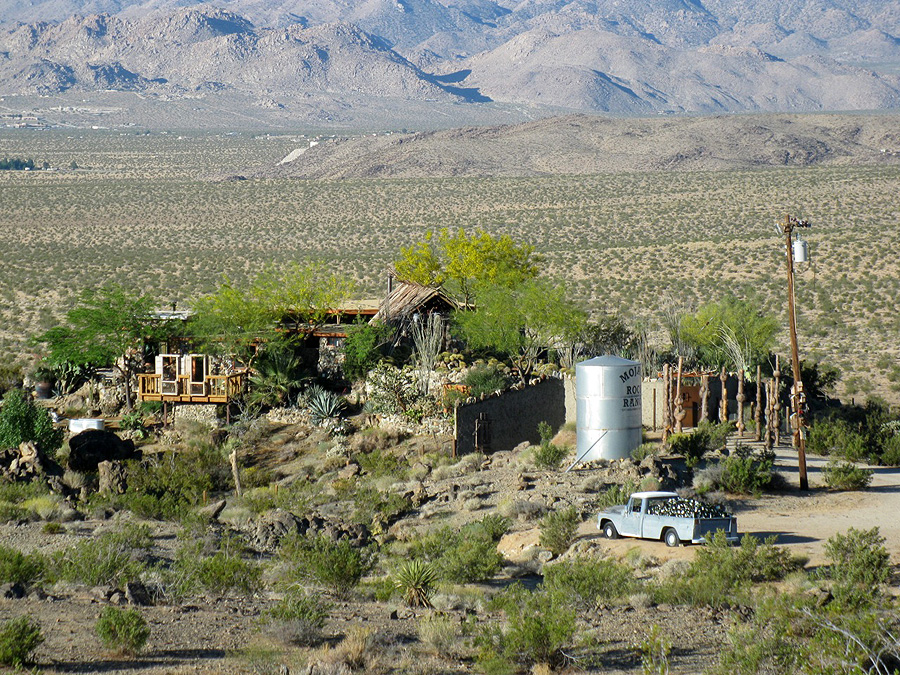 Joshua Tree Location All Pictures Media Film Locations
