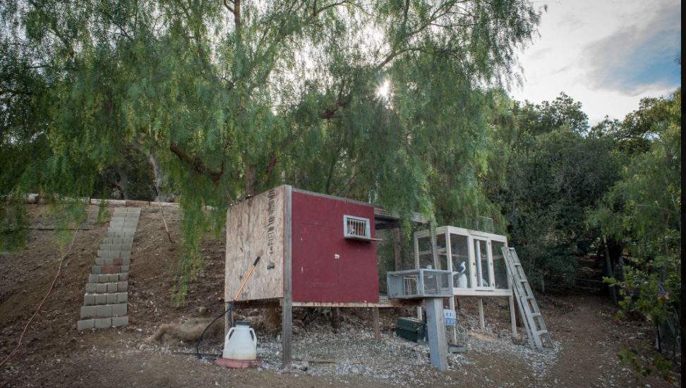 Newberry Residence All Pictures Media Film Locations