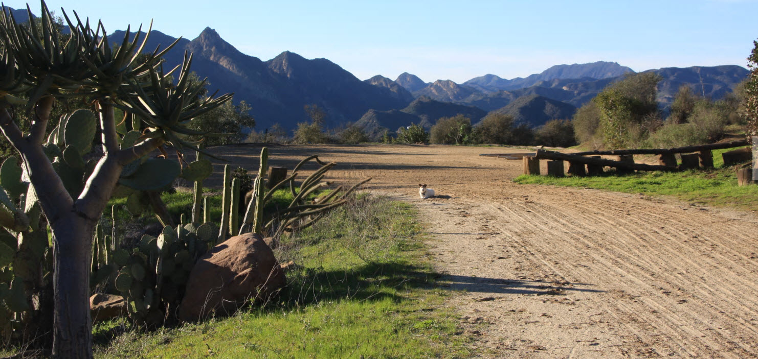 El Ranchito All Pictures Media Film Locations