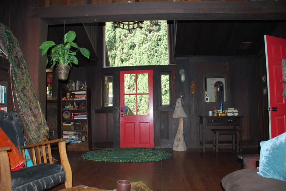 Treehouse | All Pictures Media Film Locations